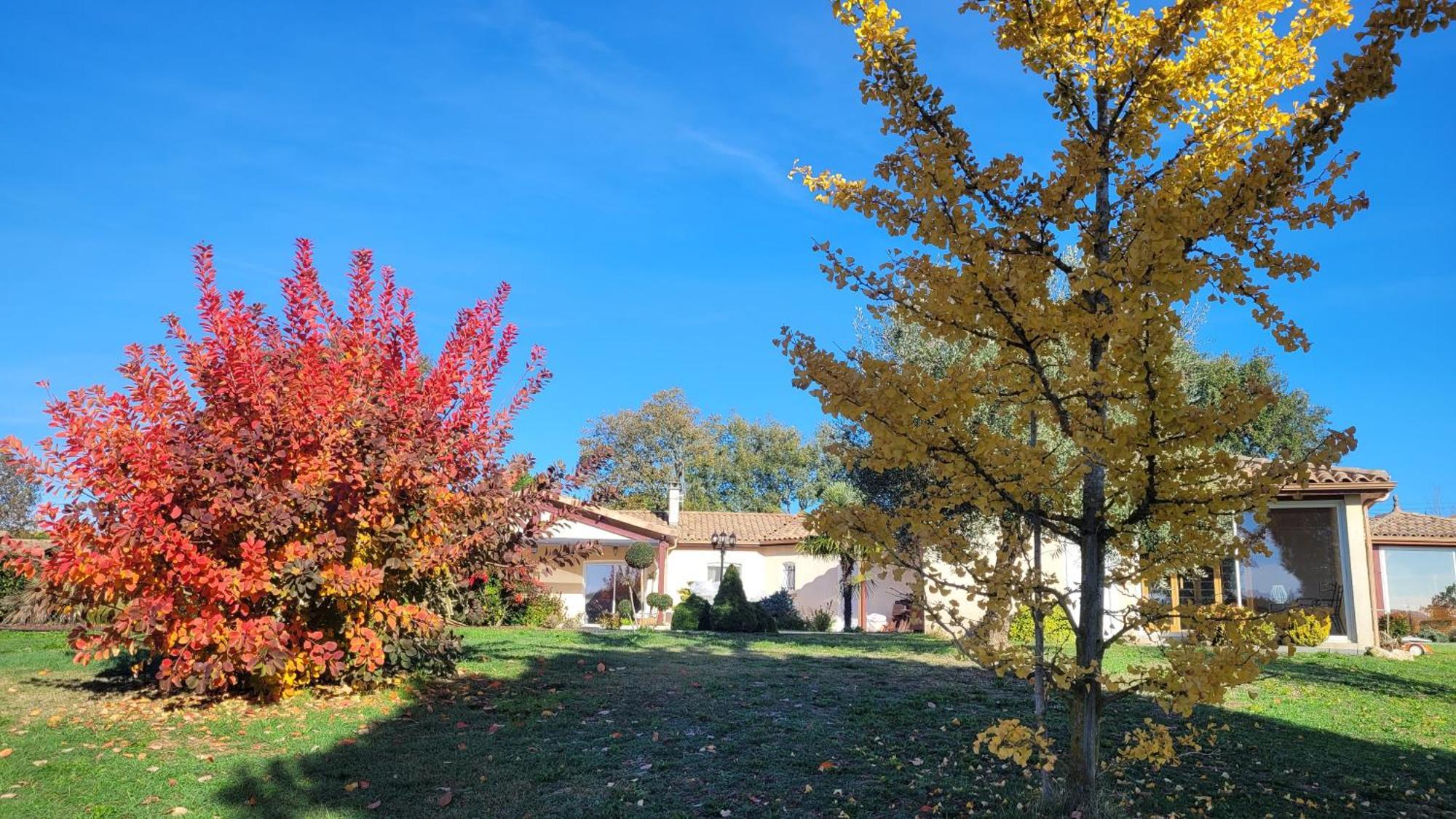 Le Clos Castel - Gite Equipe Casteljaloux Exteriér fotografie